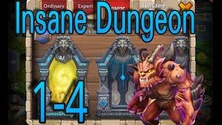 Insane Dungeon 1-4