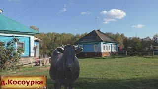 Тихая и уютная деревня. Здесь было несколько деревень. Заброшенный магазин. Царская постройка.