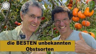 SELTENE & UNBEKANNTE Obstarten für DEINEN Garten!  Besuch beim OBST-EXPERTEN