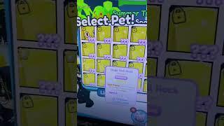 HUGE PET FOR ONLY 1 GEM