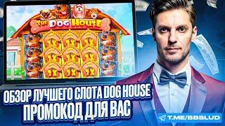 ОБЗОР CHARLIE CASINO ПРЕДЛАГАЕТ ПОЛУЧИТЬ ФРИСПИНЫ БЕЗ ВЕЙДЖЕРА ДЛЯ DOG HOUSE | ЗЕРКАЛО КАЗИНО ЧАРЛИ