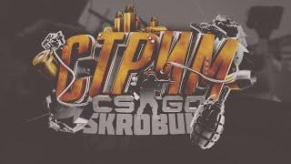 Вечерний стримчик CS:GO, Не умею я стрелять  #Skrobun