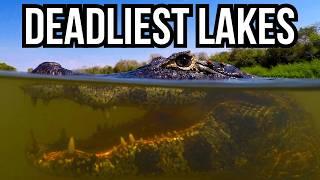 Ranking 7 Of The Most Dangerous Lakes In The World Based On Their Wildlife