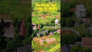 The Village That Sleeps for Weeks