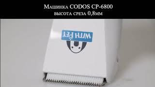 Машинка CODOS CP 6800