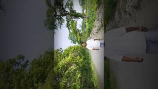 The Untouched Wilderness | A Cinematic Escape to Nature”