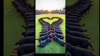 #video