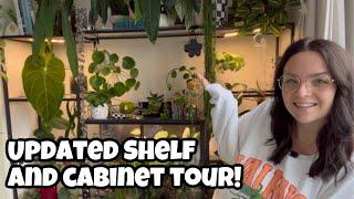 Updated Tour of my IKEA plant shelves and cabinet! 🪴