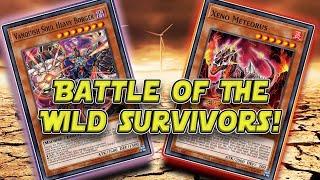 WILD SURVIVORS BOX OPENING & DECK BUILD FOR BOX BATTLE | JUNE 2023