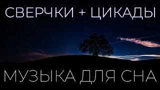 Сверчки, Цикады для сна, Расслабляющая музыка. 8 часов