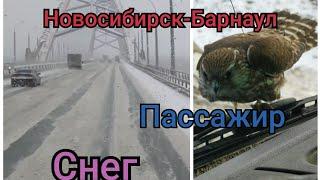 Новосибирск-Барнаул. По городам.  коллега с пассажиром.