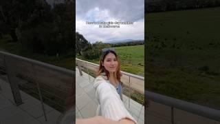 Visiting wineries in Melbourne #melbourne #vlog #vlogs