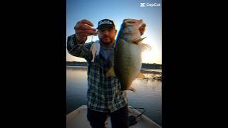 What should we call it?! #satillafeedandoutdoors #silverbacklures #bassfishing #fishing #customlures