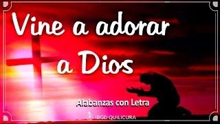 Vine a adorar a Dios  - (Alabanza con letra)