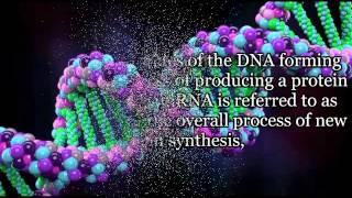 Copy of PROTEIN