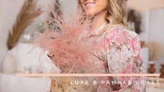 Luxe B Pampas Grass Feather Grass