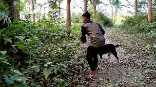 Oho Amazing Man With his Goat | Murrah Boy meets Sweet Veloge