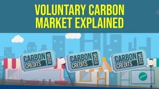 What is the Voluntary Carbon Market (VCM)?