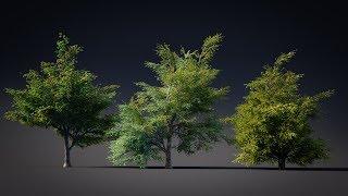 Blender2 79 Création d'un arbre avec l'addon modular tree