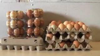Vital Farms Pasture-Raised Eggs - Whole Foods Market Video