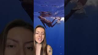 TIGER SHARK CHASING ME!! #shark #sharks #tigershark #sharkdiving : mermaid.kayleigh