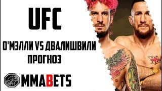 ШОН ОМАЙЛИ - МЕРАБ ДВАЛИШВИЛИ ПРОГНОЗ | АНАЛИТИКА НА ТУРНИР UFC 306: O'Malley Dvalishvili | MMABETS