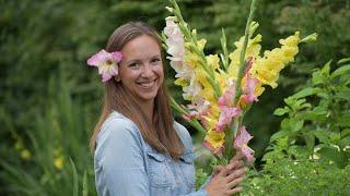 How to grow and harvest Gladiolus // Northlawn Flower Farms