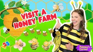 Toddler Learning Videos - Visit a Honey Farm | Bees for Kids |  Educational Videos for Kids