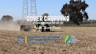 Cover Cropping on a large-scale, organic, row crop farm