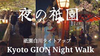 Kyoto Japan walk! /Gion at night /April 8 2023