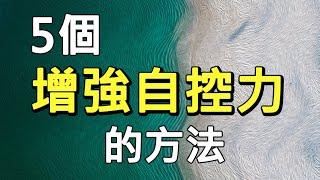 10分鐘教你5個增強自控力的方法，讓你能堅持做任何事（建議1.25倍速觀看）