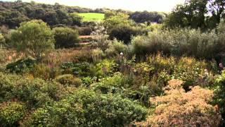 Dyffryn Fernant Gardens