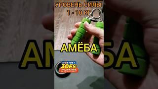 ПРОВЕРЬ СВОЙ УРОВЕНЬ СИЛЫ