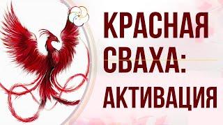 БАЦЗЫ:  Символическая звезда КРАСНЫЙ ЛУАНЬ (Красный Феникс). Как активировать Красный Луань