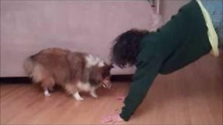 Tari_TestingBasicCommands_4-27-11.wmv