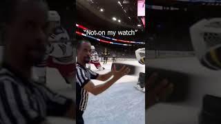 "You ladies alright?" #short #meme #hockey #original
