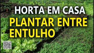 Horta entre Entulhos, Dicas de como melhor Fazer com Valter Damião na Horta Orgânica