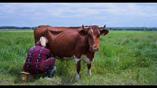 The hard but happy daily life of a Village Family in Eastern Europe