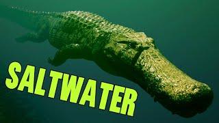 The POWER of Saltwater Deinosuchus!!