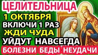 1 октября ПРОСИ ИСЦЕЛЕНИЯ ОТ ВСЕХ БОЛЕЗНЕЙ! Сильная молитва о здоровье акафист Целительница