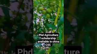 Agricultural Chinese Government Scholarships 2024 #csc #viral #scholarshipsinchina #studyinchina