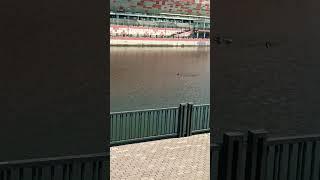#russia #riverside #summer #weather