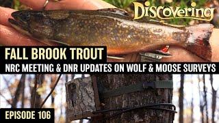 DISCOVERING | Fall Fly Fishing for Brook Trout, NRC Meeting & DNR Updates on Wolf & Moose Surveys