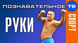 Разминка для позвоночника 5. РУКИ (Герман Тюхтин)