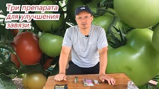 Три эффективных препарата для улучшения завязи на овощах.