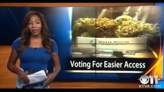 TV news reporter quits live on air over Alaska Cannabis Club – video   US news   The Guardian