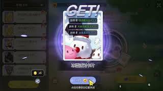 1000 BCC Card Gacha「 Ragnarok M: Eternal Love 」- noin