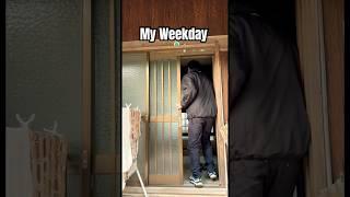 Working Japanese man   My weekday life