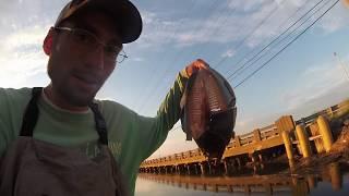 Catching and Cooking an Atlantic City Flounder