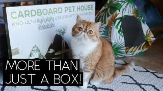 TROPPIPETS UNBOXING | SVEN AND ROBBIE